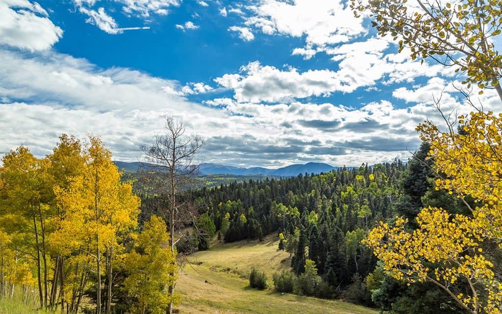 Die besten Reiseziele für Herbstlaub in den USA 