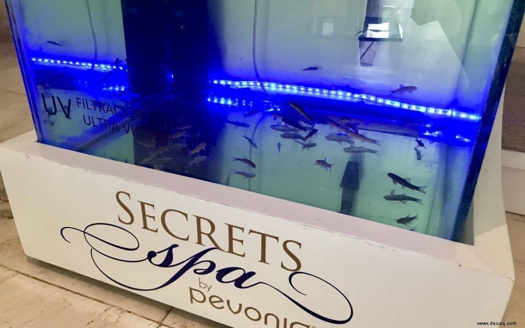 Top 5 der geheimen Erlebnisse am Secrets Royal Beach 