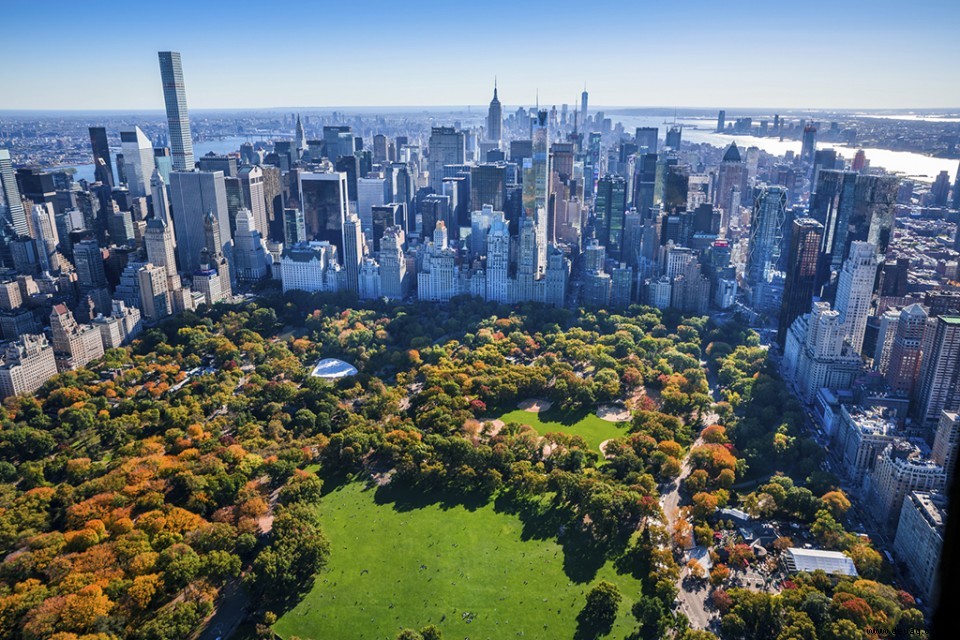 Die 10 besten Aktivitäten in New York City 