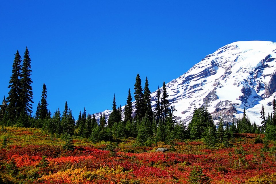 Verlieben Sie sich diesen Herbst in Seattle 