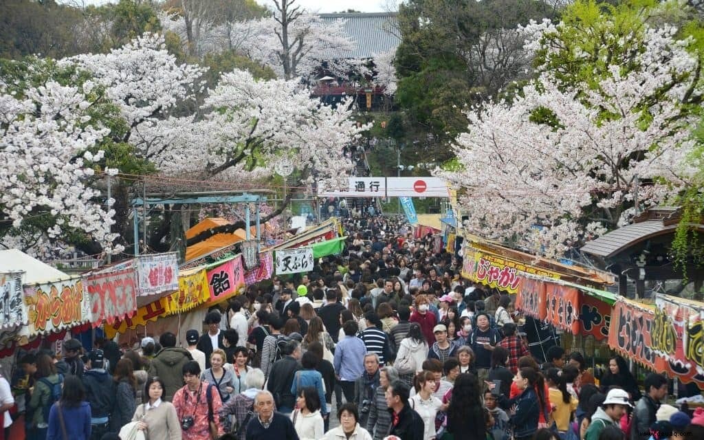 5 Arten, die Kirschblüten in Tokio zu genießen