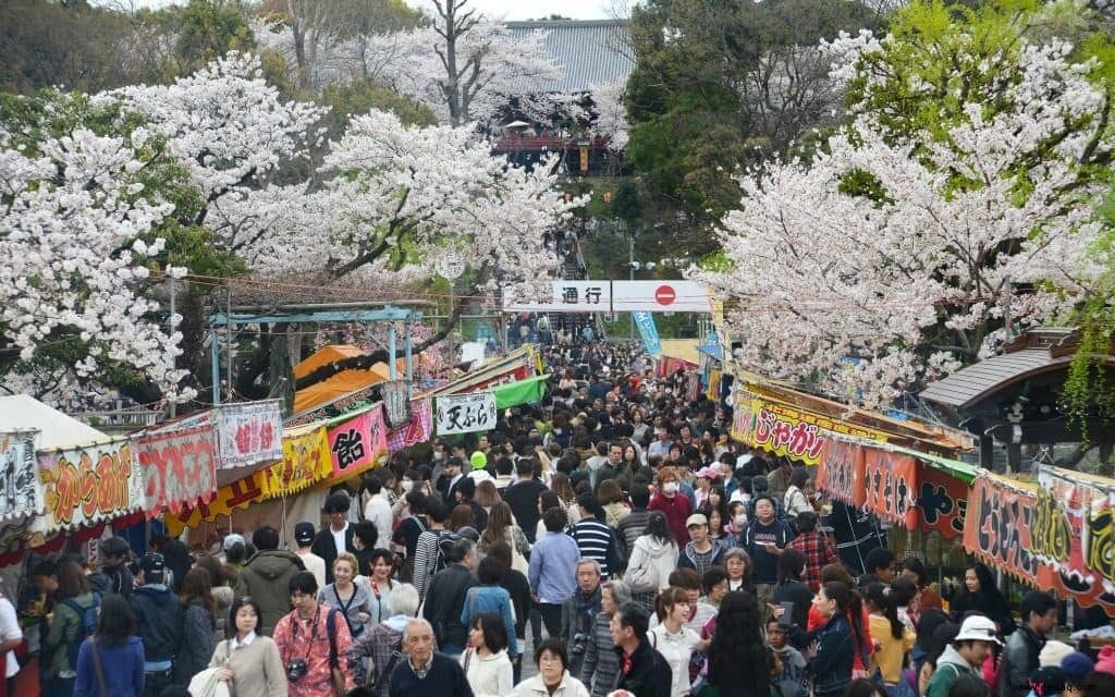 5 Arten, die Kirschblüten in Tokio zu genießen 