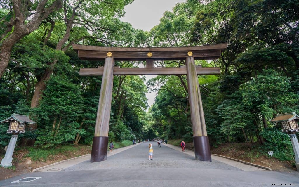 5 Orte, die man in Tokio nicht verpassen sollte 