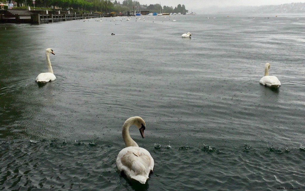 So verbringen Sie einen gemütlichen Kurzurlaub in Zürich 