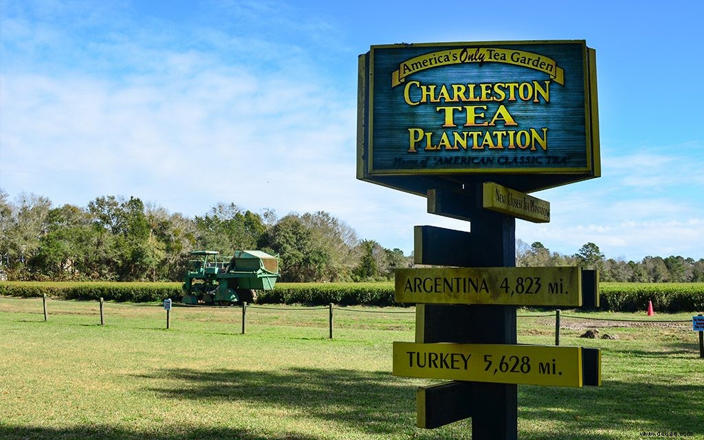 Sechs Möglichkeiten, Charleston wirklich kennenzulernen 