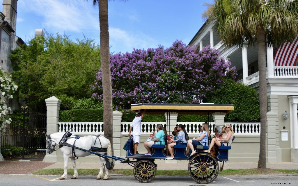 Erstbesucher-Leitfaden für Charleston 