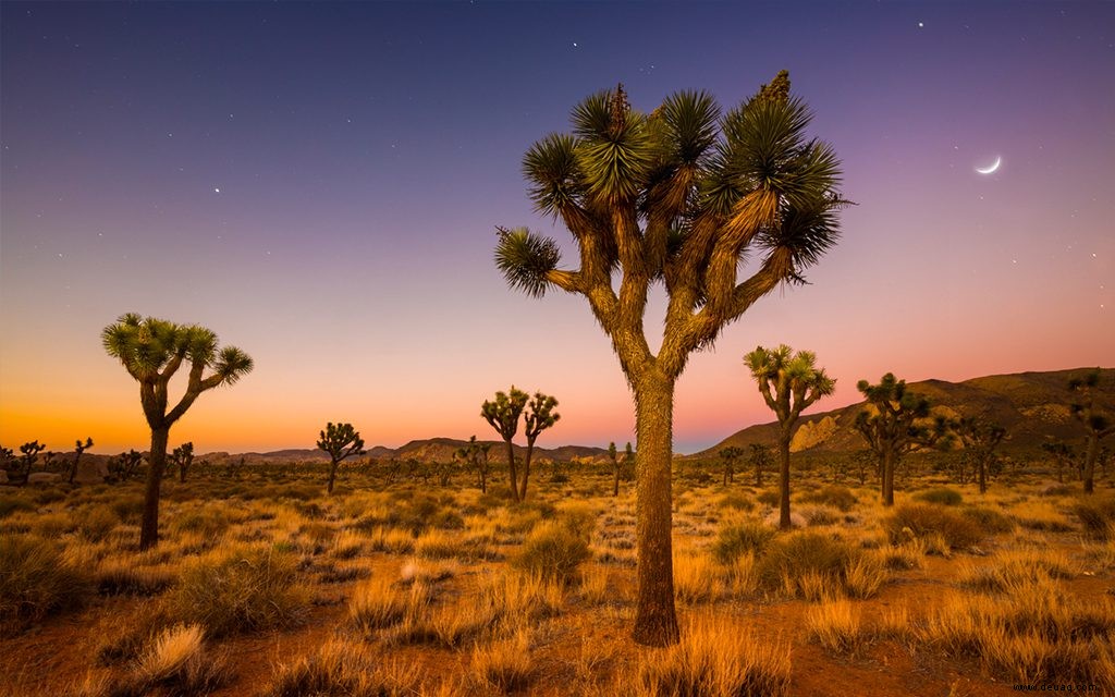 9 Wochenendtrips nach Los Angeles für jeden Reisendentyp 