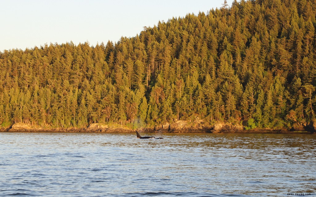 15 Wege, um in Victoria BC Spaß zu haben 