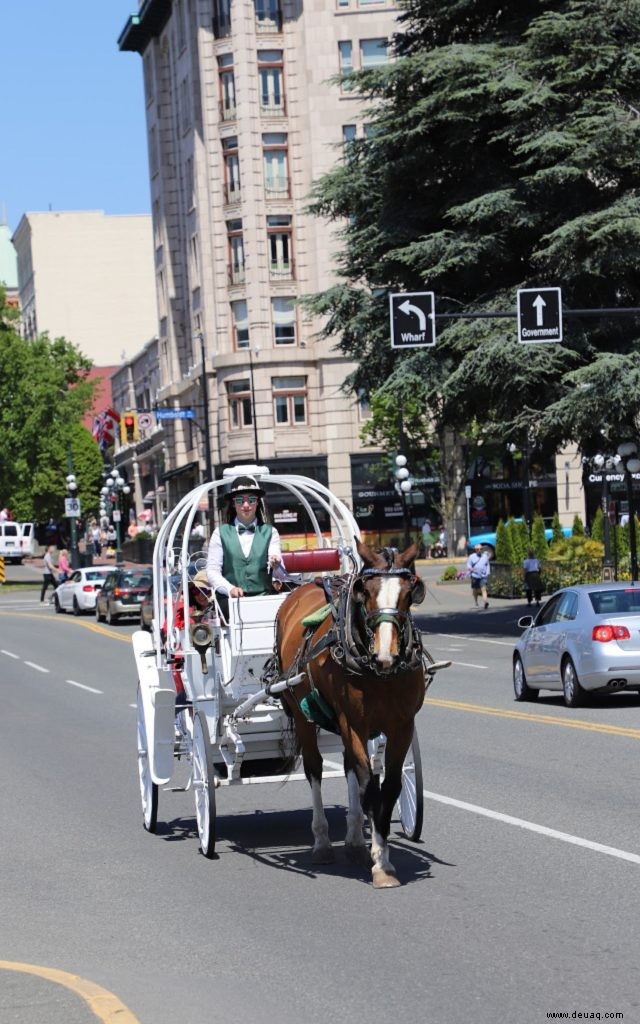 15 Wege, um in Victoria BC Spaß zu haben 