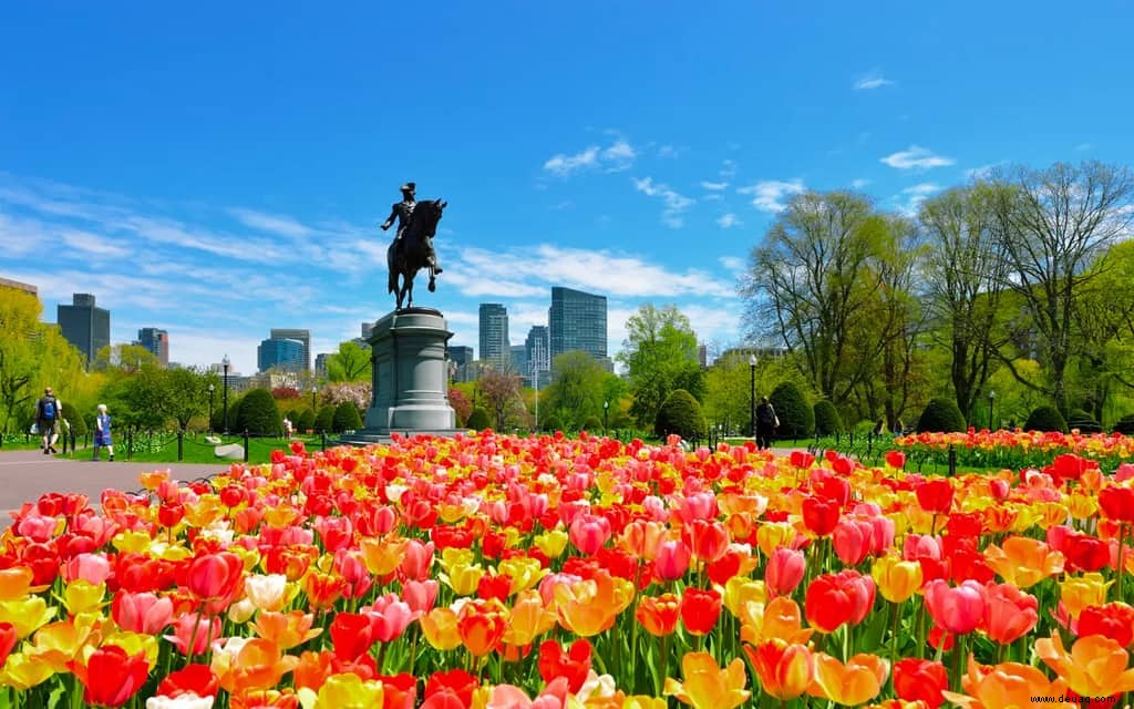 Wie man das beste Boston-Wochenende aufbaut 