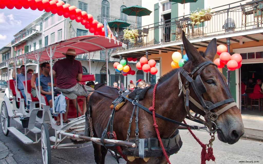 Warum New Orleans auf Ihrer Bucket List stehen sollte 