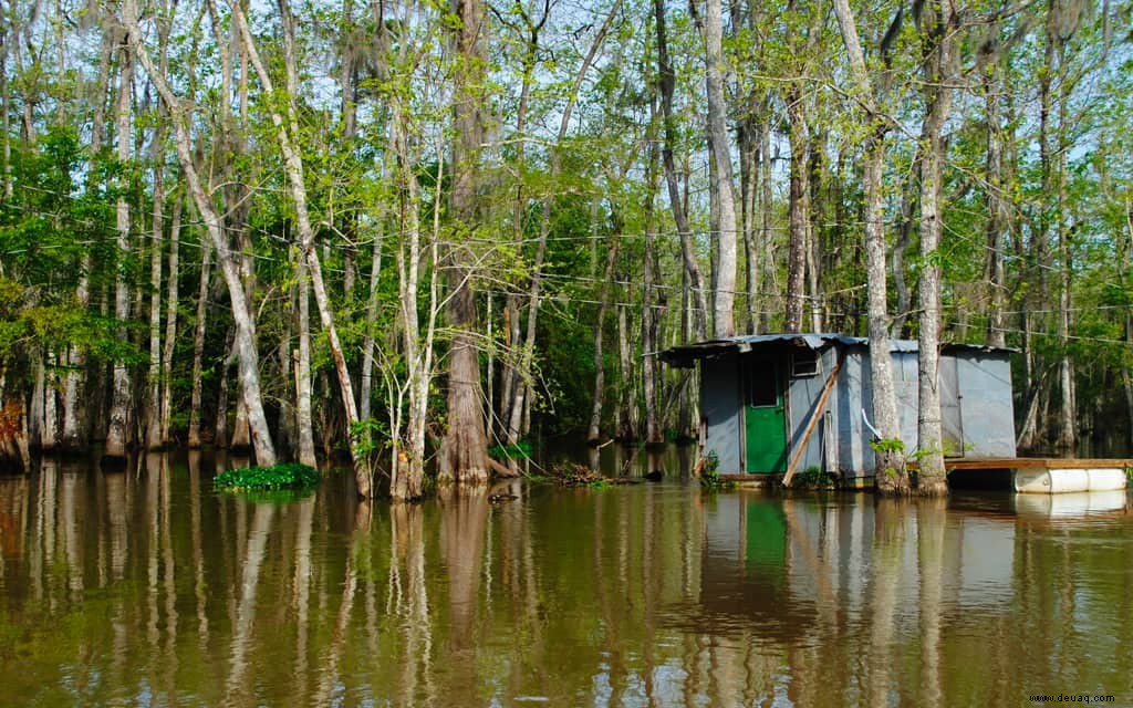 10 Möglichkeiten, um eine magische Reise nach New Orleans zu garantieren 