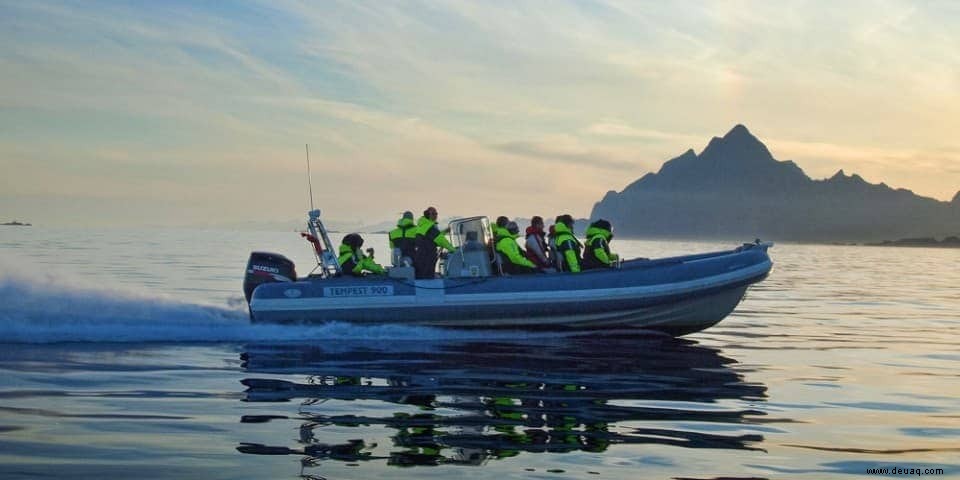 Norwegische Fjorde:Kreuzfahrten für Entdecker 