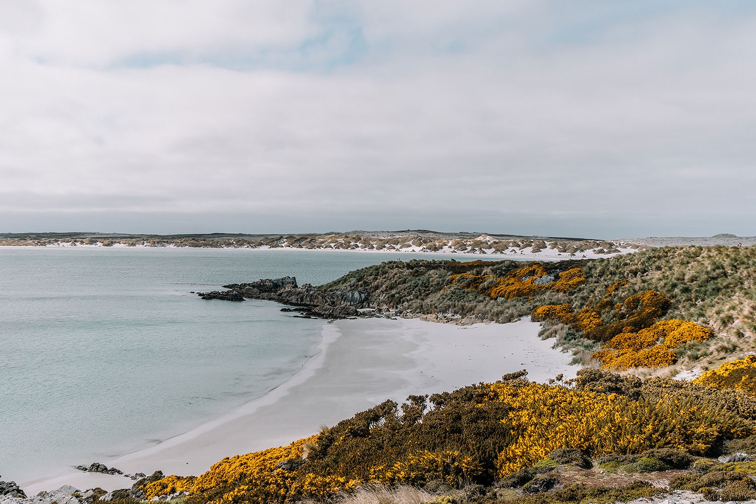 5 fantastische Sehenswürdigkeiten auf den Falklandinseln! 