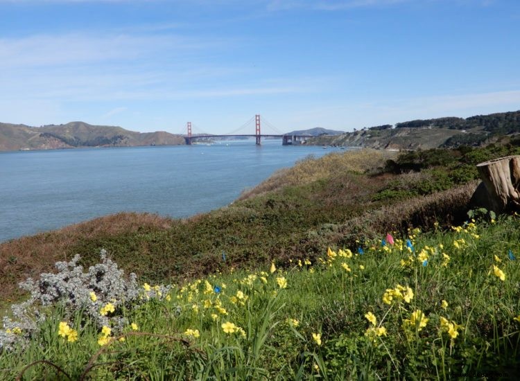 10 wunderschöne Parks und Grünflächen in San Francisco 