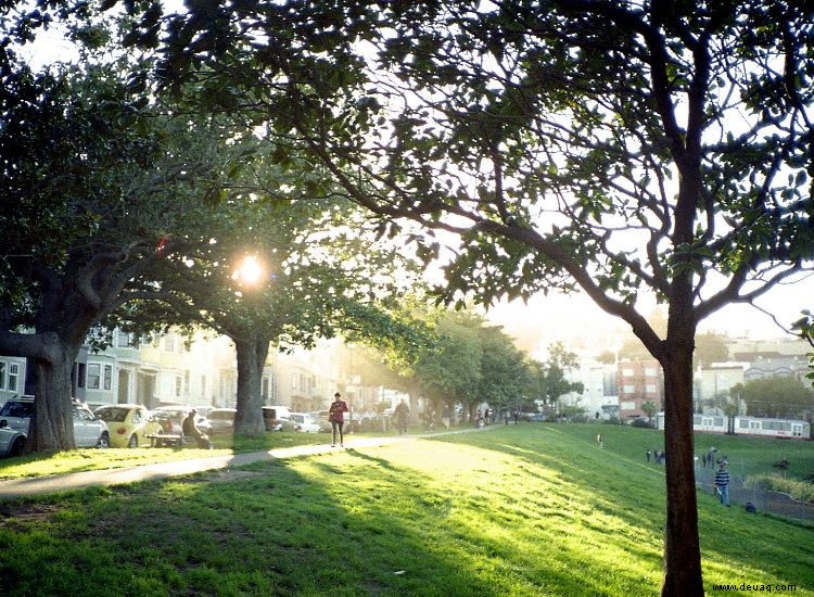 10 wunderschöne Parks und Grünflächen in San Francisco 