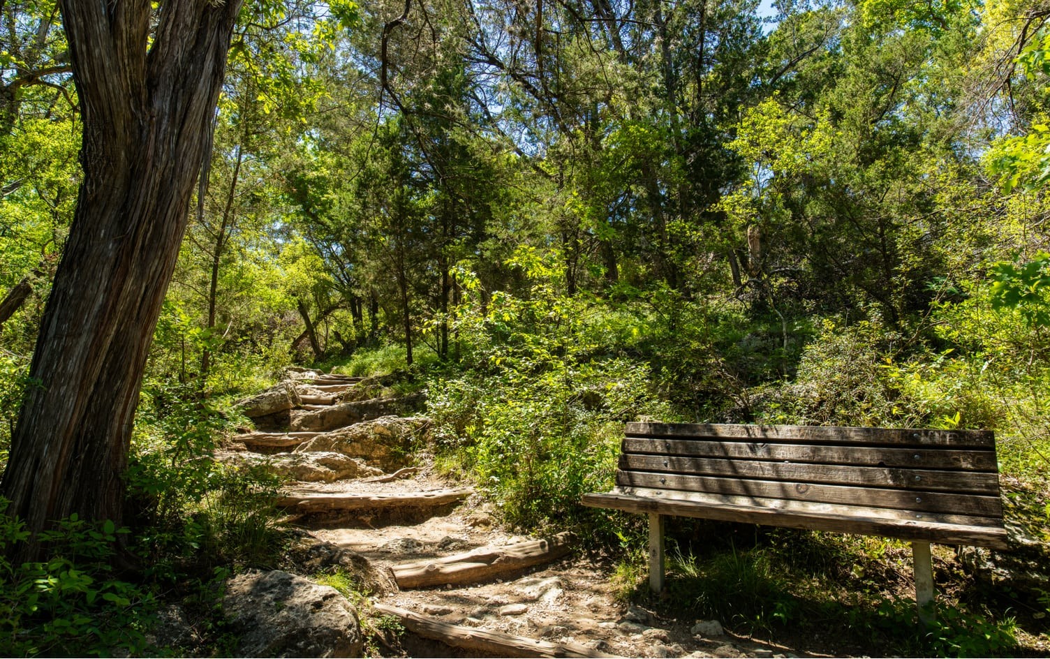 9 malerische, an die Stadt angrenzende Naturwanderungen zum Erkunden 