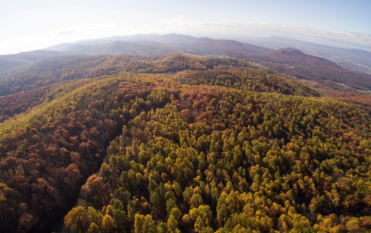 10 epische Spaziergänge in den USA, um das Herbstlaub zu genießen 