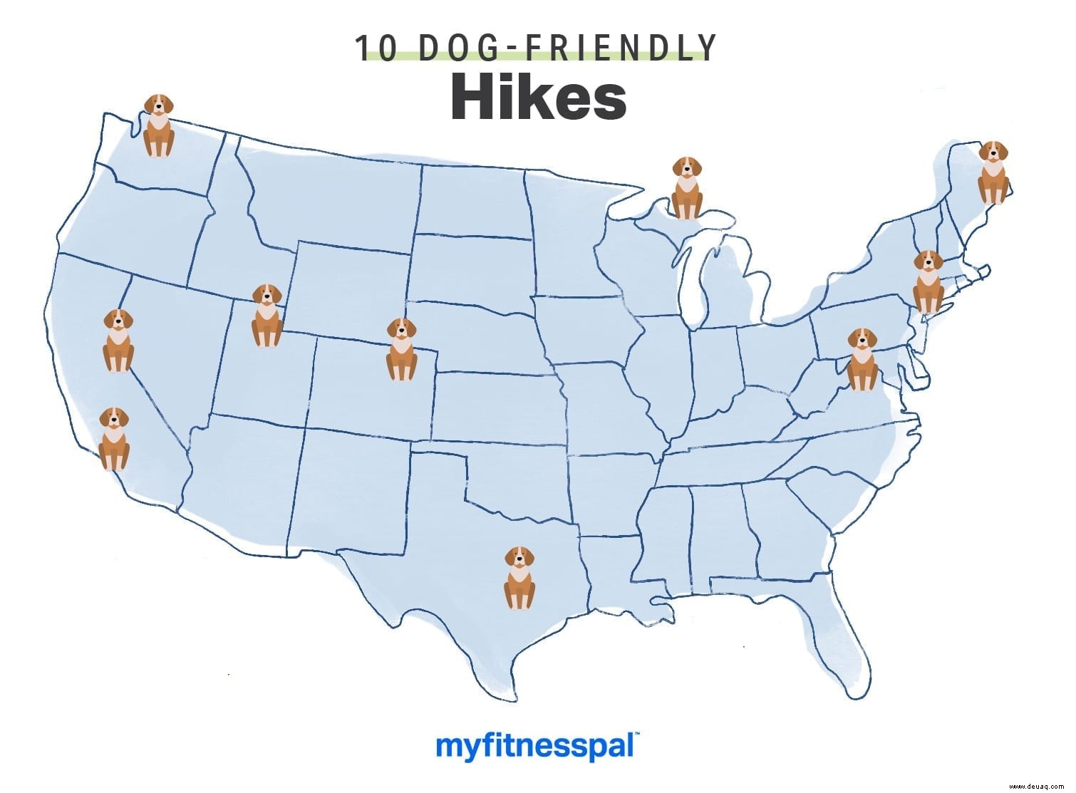 10 hundefreundliche Wanderungen in den USA 