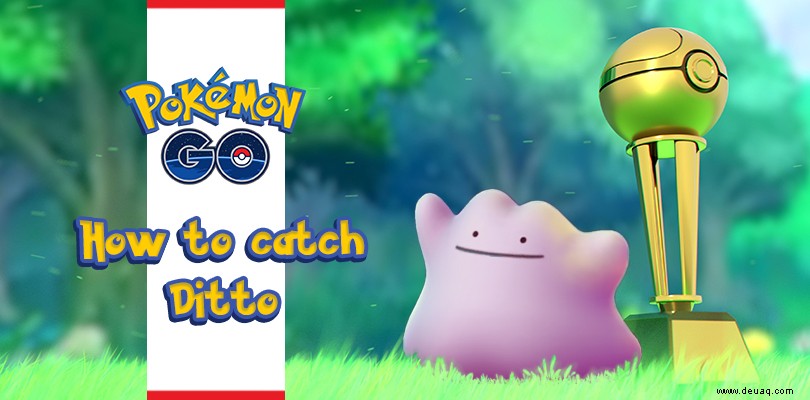 Wie fange ich ein Ditto in Pokémon GO? 