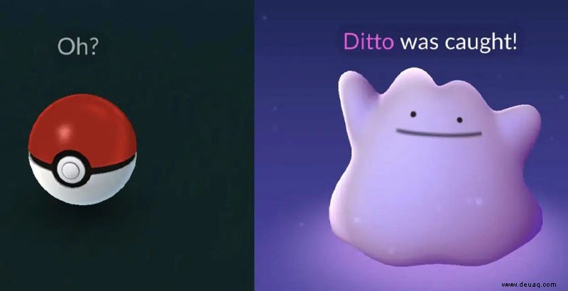 Wie fange ich ein Ditto in Pokémon GO? 