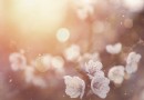 Heuschnupfen:4 Tipps für Sport trotz saisonaler Allergien 