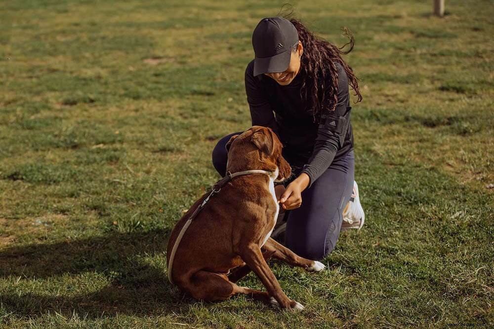 18 Gründe für einen Lauf mit einem Hund 