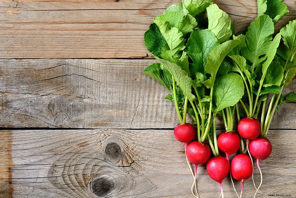 Hier sind 5 leckere Früchte und Gemüse, die im Mai Saison haben 