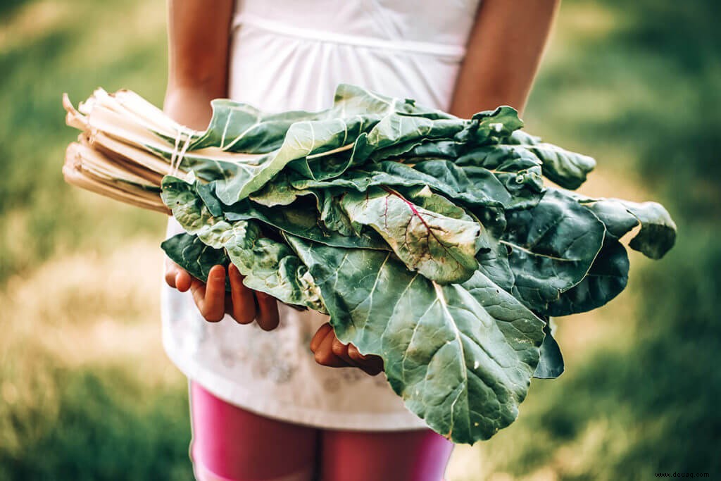 Wie veganes Essen? 6 Tipps für den Umstieg auf eine vegane Ernährung 