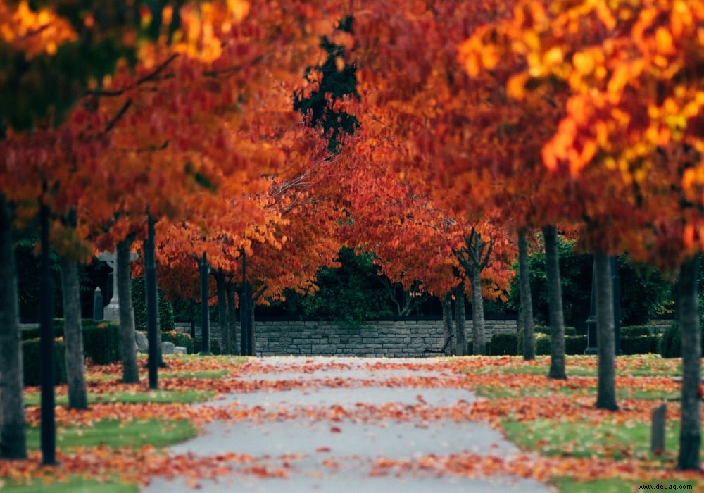 5 Gründe, warum es perfekt ist, im Herbst zu laufen 