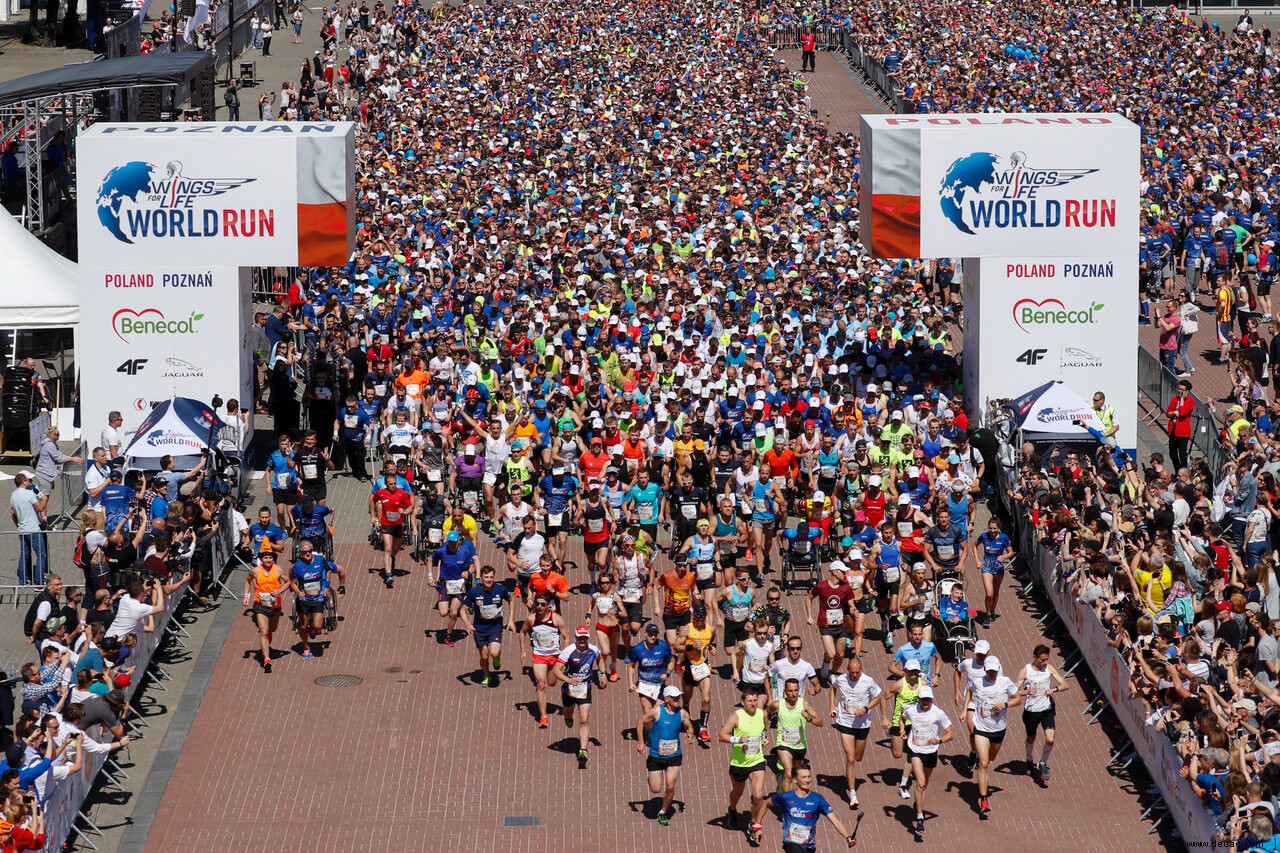 Wings for Life World Run ➤ Was es ist und wie man sich vorbereitet 