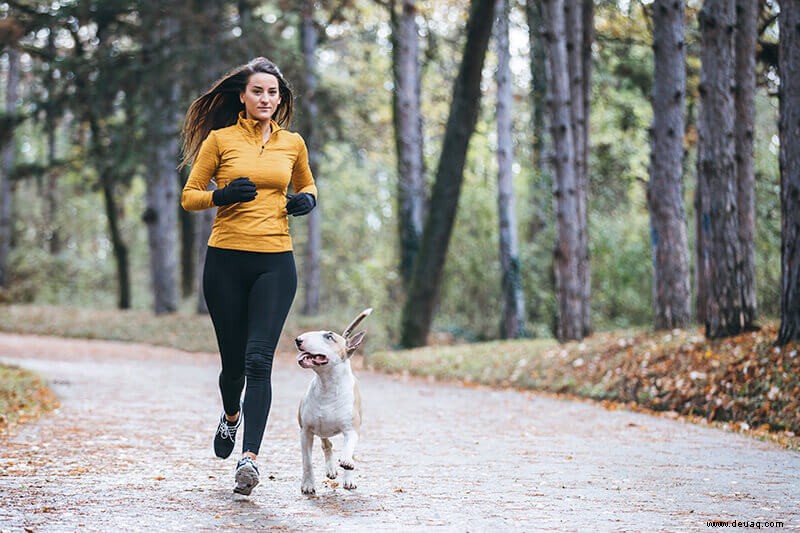 9 Tipps, um Ihren vierbeinigen Laufpartner glücklich zu machen 