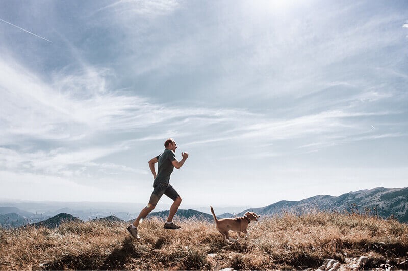 9 Tipps, um Ihren vierbeinigen Laufpartner glücklich zu machen 