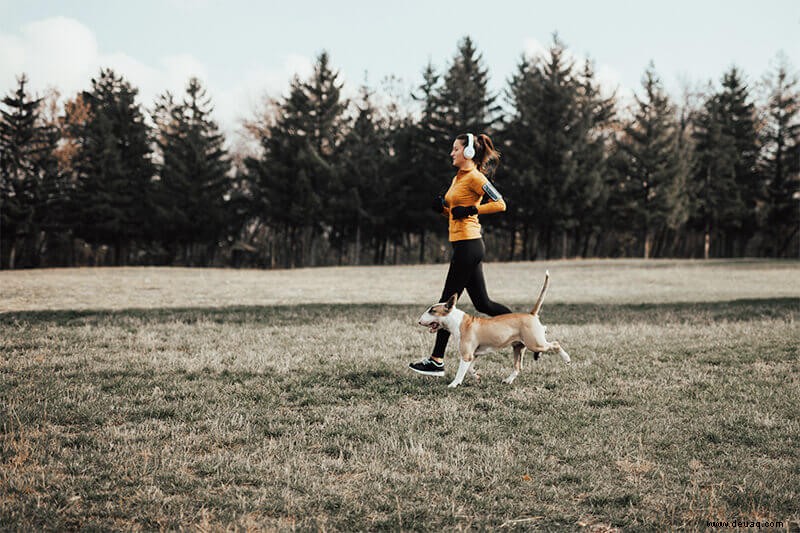 9 Tipps, um Ihren vierbeinigen Laufpartner glücklich zu machen 