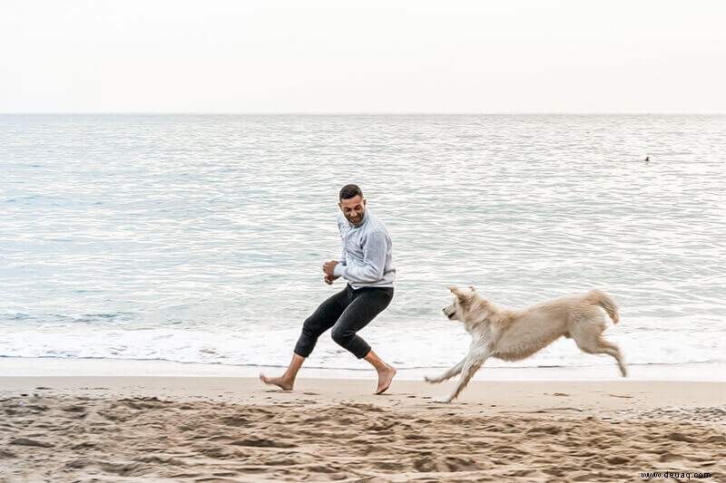 9 Tipps, um Ihren vierbeinigen Laufpartner glücklich zu machen 