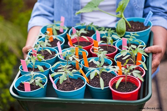 Gärtnern mit weniger Plastik 