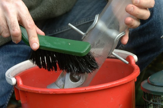 Gefahren für Gartenvögel 