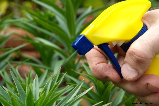 Gefahren für Gartenvögel 