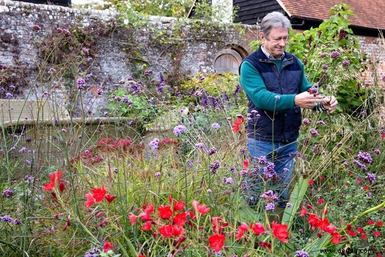 12 Gartenprobleme im Sommer gelöst 