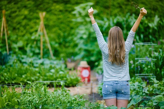 10 Gartenfehler, die Sie vermeiden sollten 