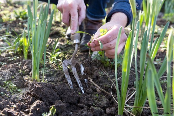 10 Gartenfehler, die Sie vermeiden sollten 