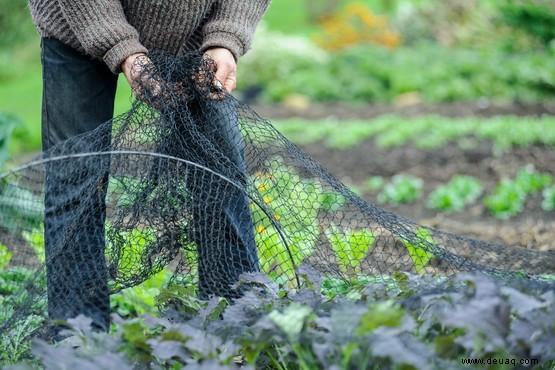 10 Gartenfehler, die Sie vermeiden sollten 