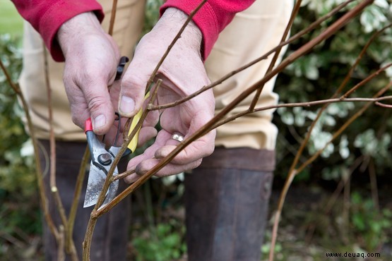 10 Gartenfehler, die Sie vermeiden sollten 