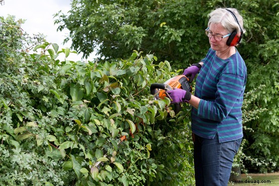 10 Gartenfehler, die Sie vermeiden sollten 