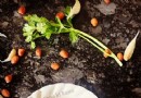 Rezept für Erdnuss-Chutney 