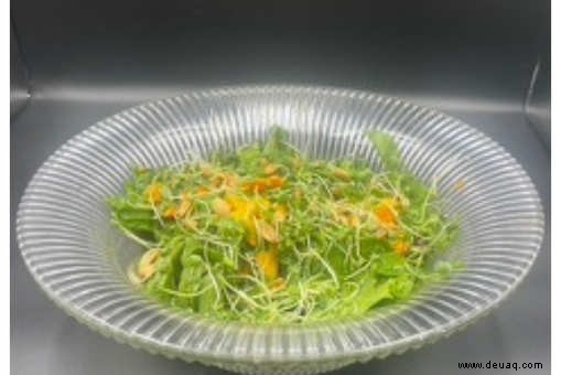 Rezept Mango-Spinat-Salat 