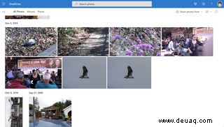 So wählen Sie eine Alternative zu Google Fotos aus – wenn Sie eine möchten 