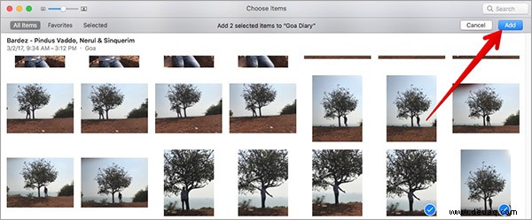 So erstellen Sie ein Fotobuch mit der Fotos-App auf dem Mac 