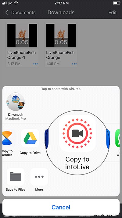 So erhalten Sie Live-Fisch-Hintergründe in iOS 11 auf dem iPhone zurück 