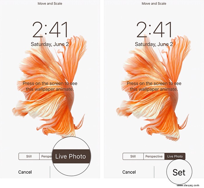 So erhalten Sie Live-Fisch-Hintergründe in iOS 11 auf dem iPhone zurück 